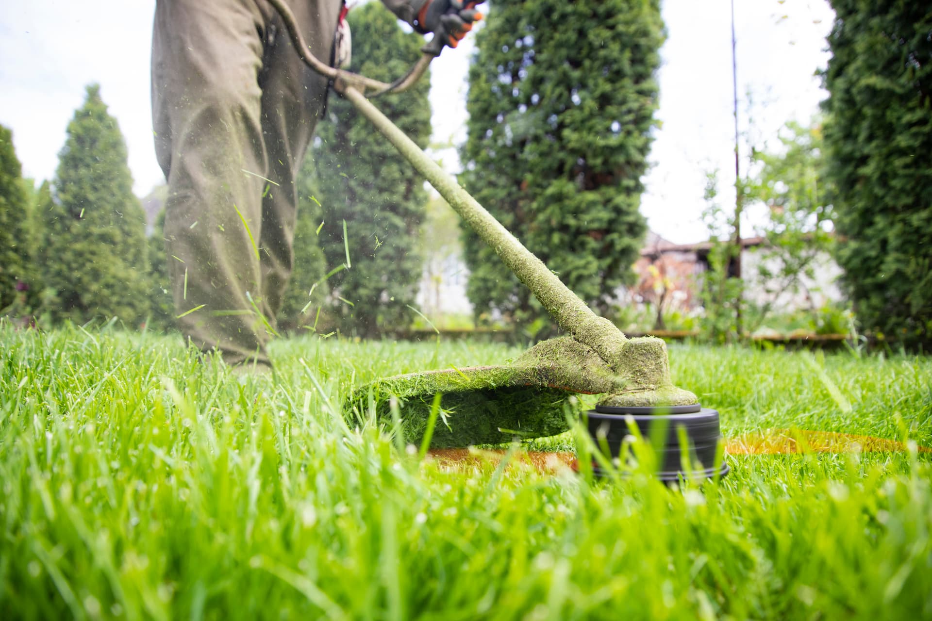 Is Grass and Hedge Cutting Suitable for Your Home Garden?