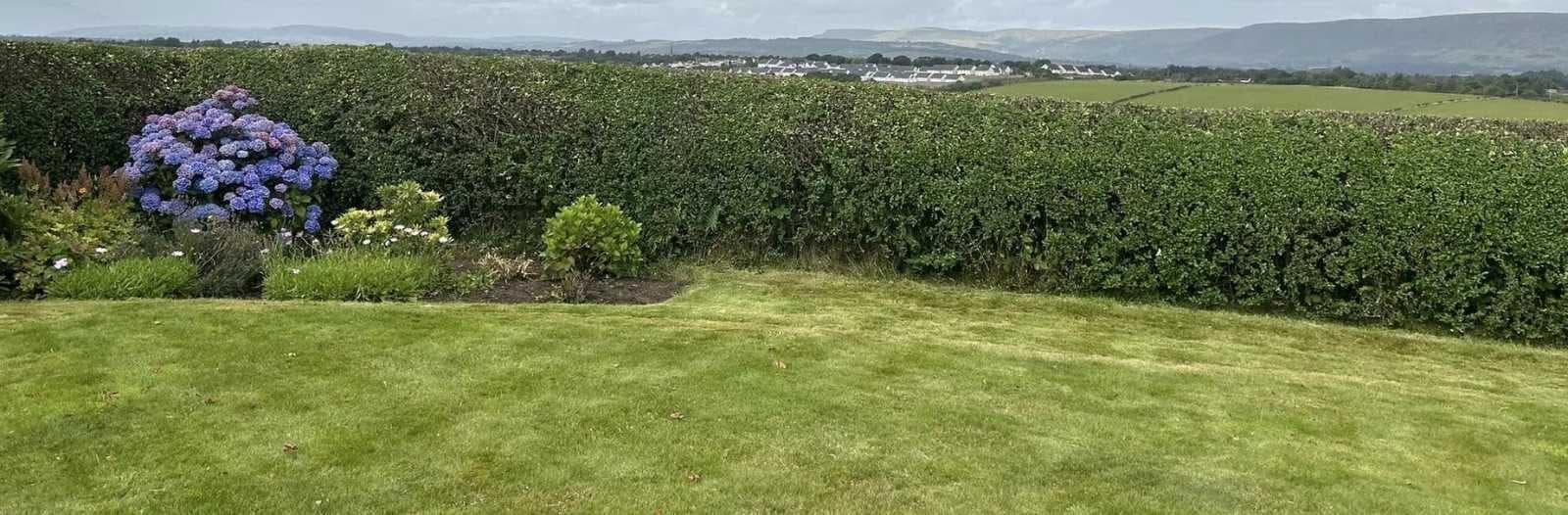 Grass & Hedge Cutting