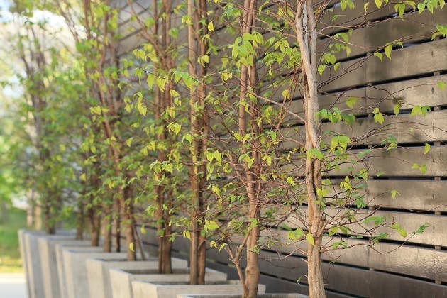 5 Signs Your Bearsden Garden Fence Needs Repair or Replacement